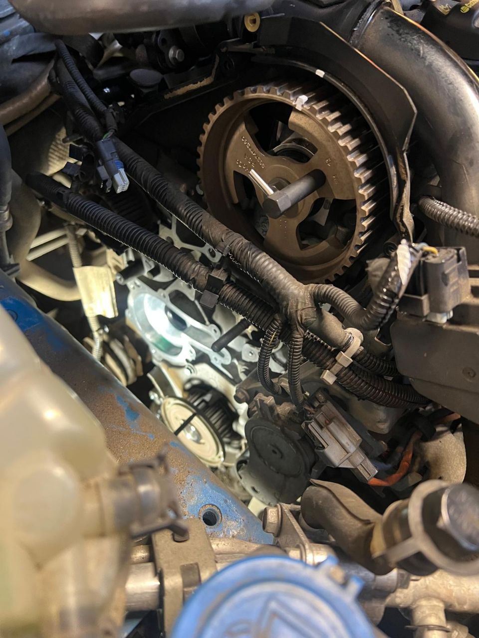 Timing Belt Replacement
